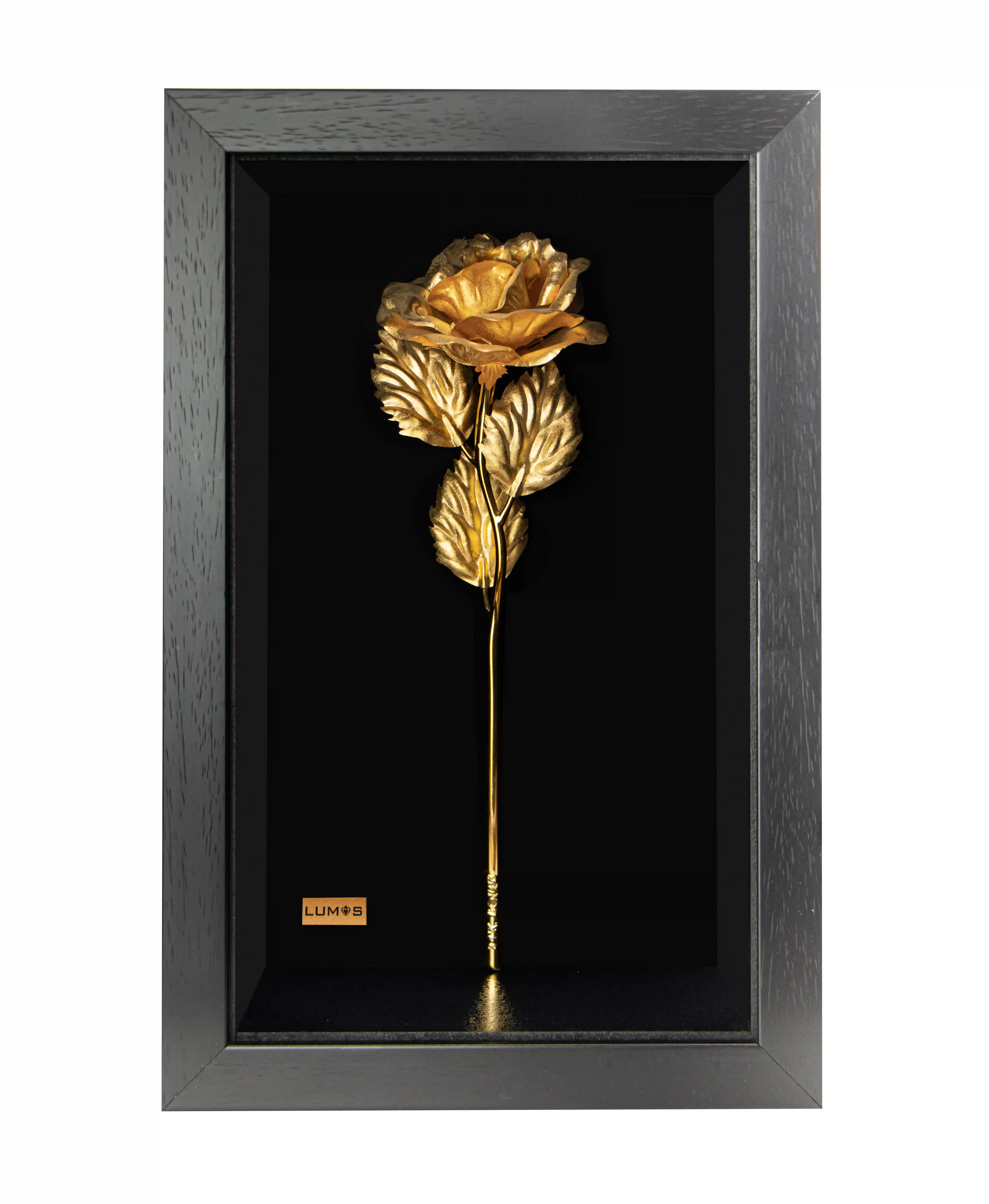 تابلو شاخه گل رز