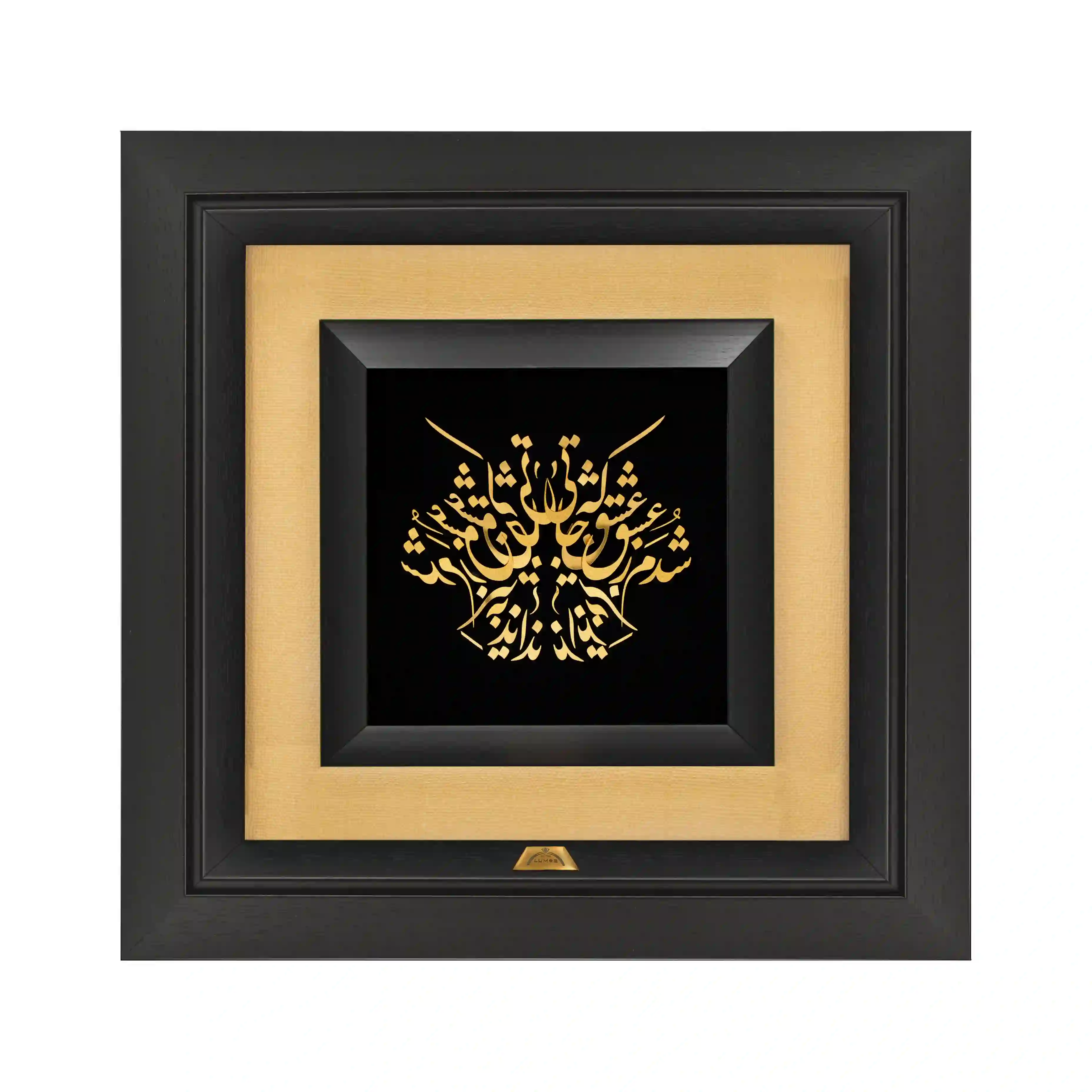 تابلو شدم ز عشق به جایی (36*36)