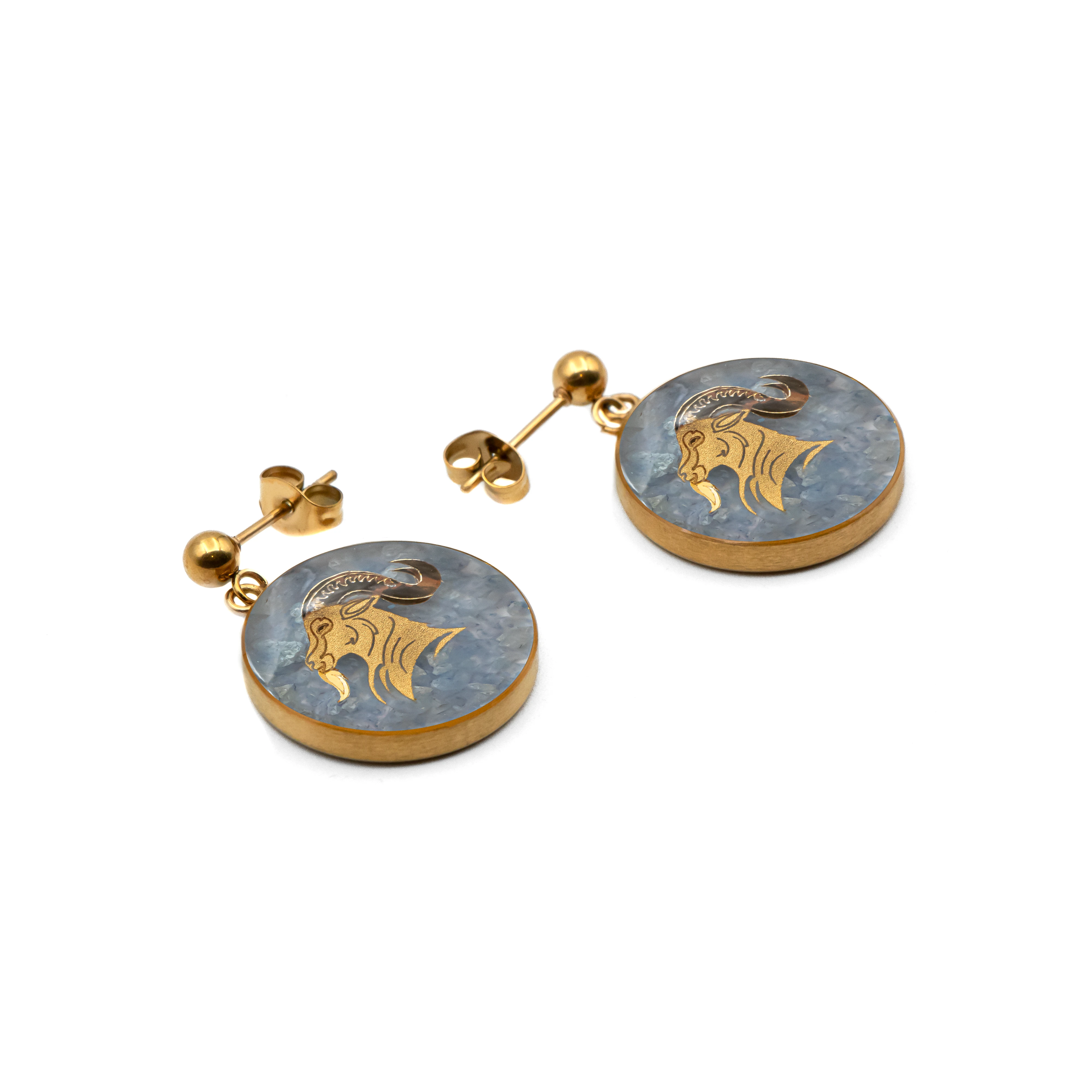 گوشواره گرد انیکس دی (طرح 2)